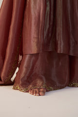 Rust Rehmat Lehenga set
