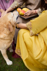 Yellow Sabr kaftan