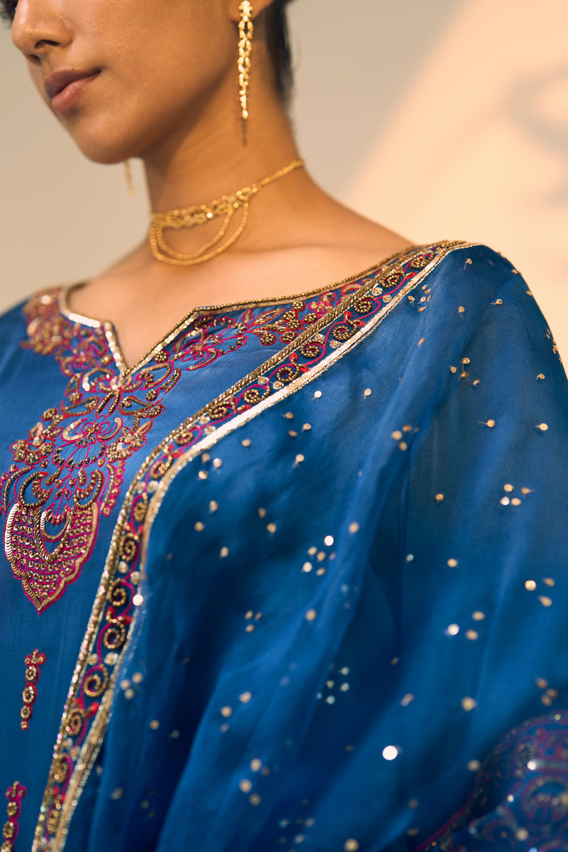 Taari Ropata Blue Taara Dupatta – Sarang Kaur