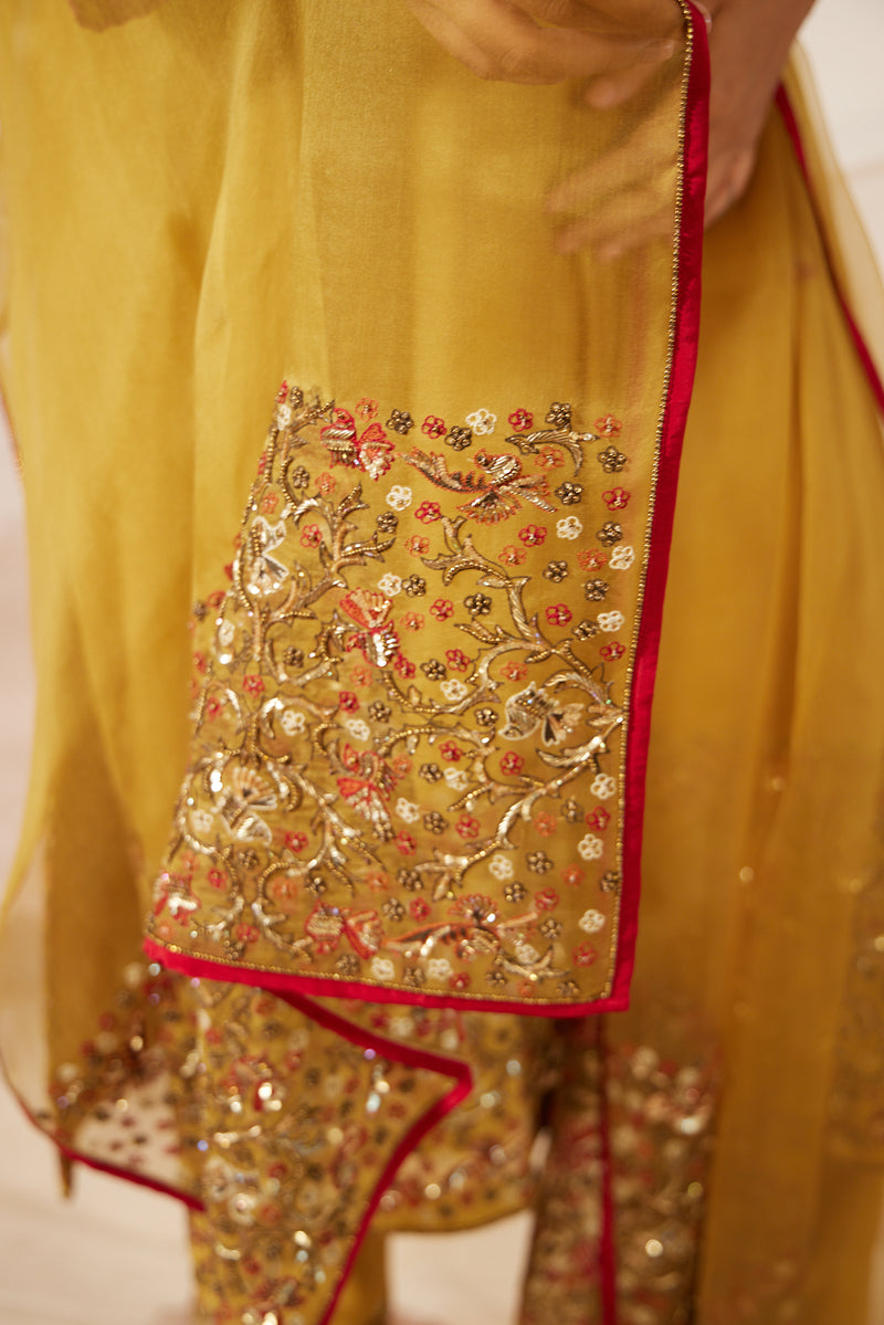 Yellow Gulaal Stole