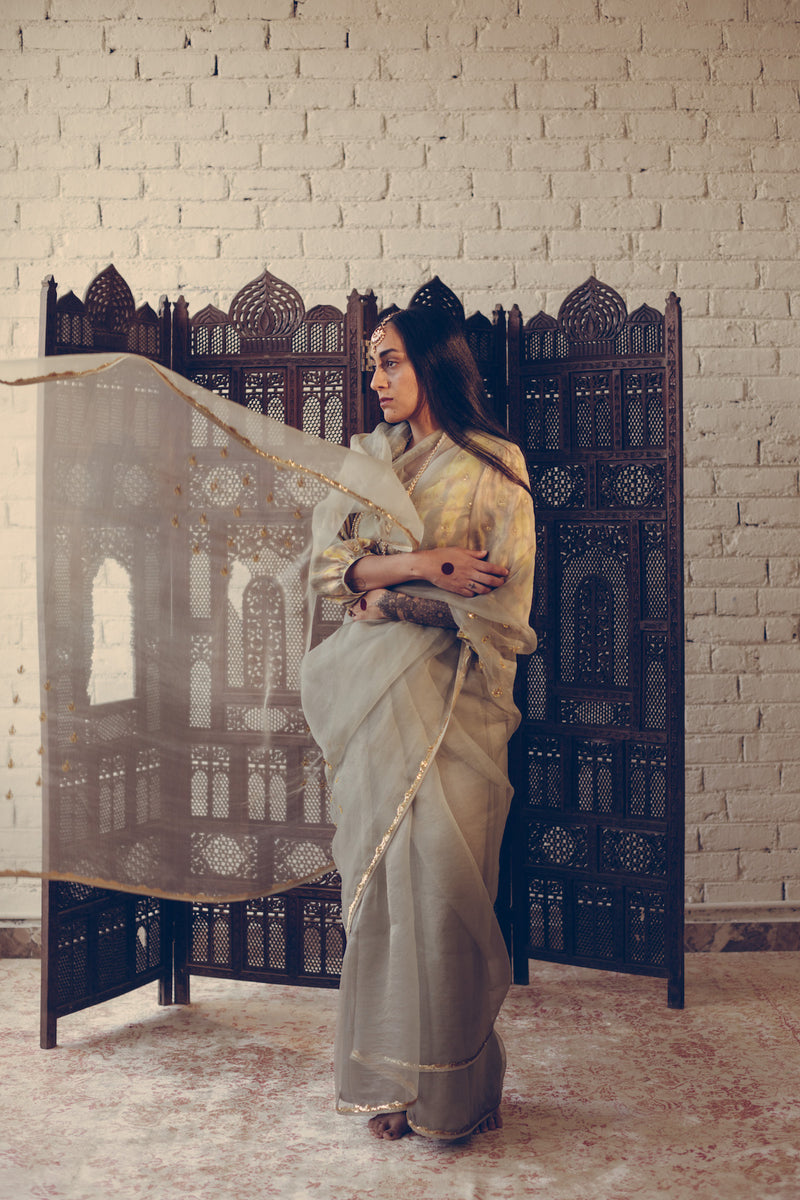 Grey Noor Saree